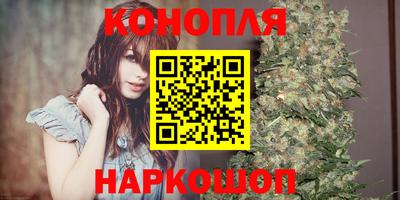 индика Тула