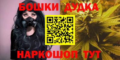 индика Тула