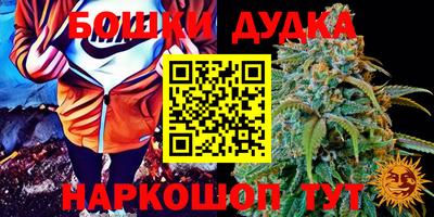 индика Тула