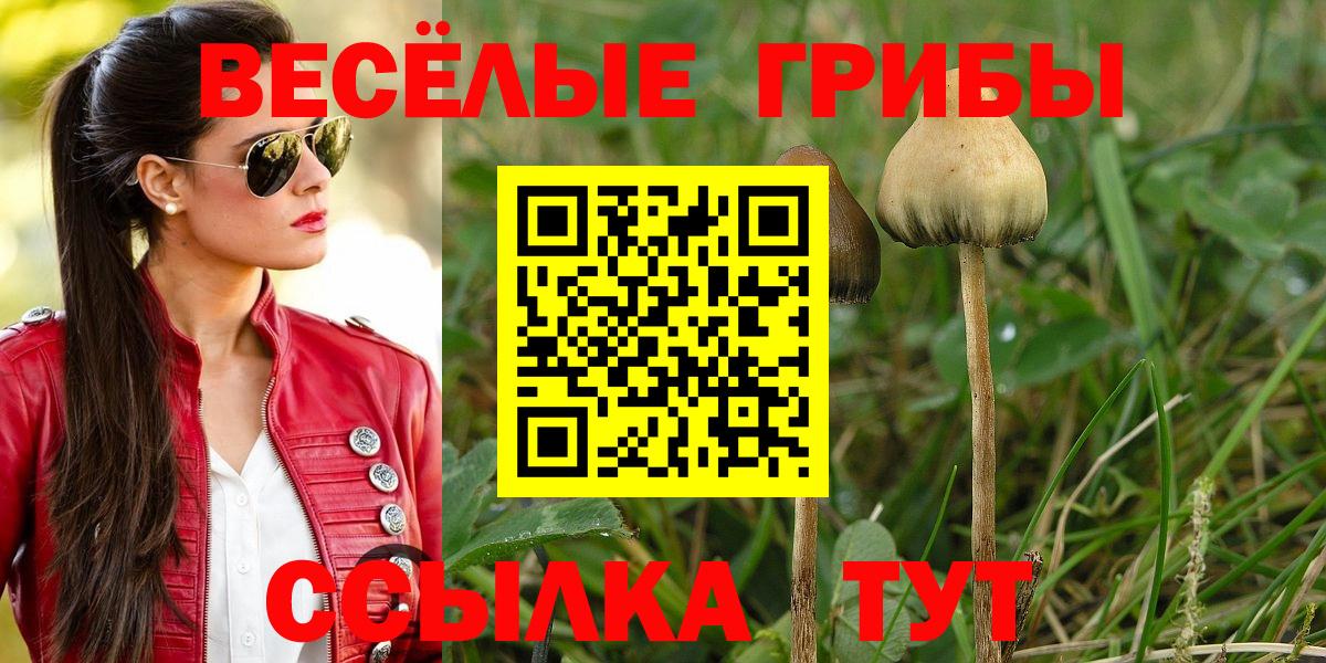 Нижний Тагил  Галлюциногенные грибы ЛСД  Галлюциногенные грибы MAGIC MUSHROOMS  где купить наркоту  Вход с VPN 